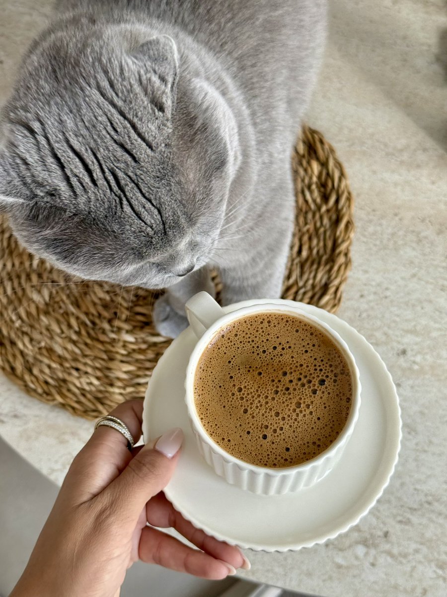 nesyaderler's tweet photo. Kahveyi sade ve kedili içerim günaydınn 🌼 https://t.co/xQlwFWmAoS