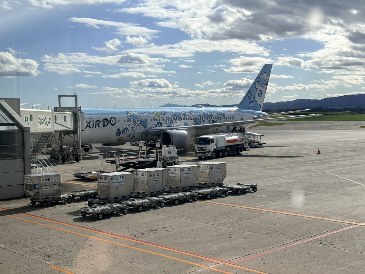 aurelie_dqx's tweet photo. 異様にインプ伸びてますが（なんでだ…）、今日乗った飛行機がロコンジェットだったので縁があるな！ https://t.co/yLDfc87ykk
