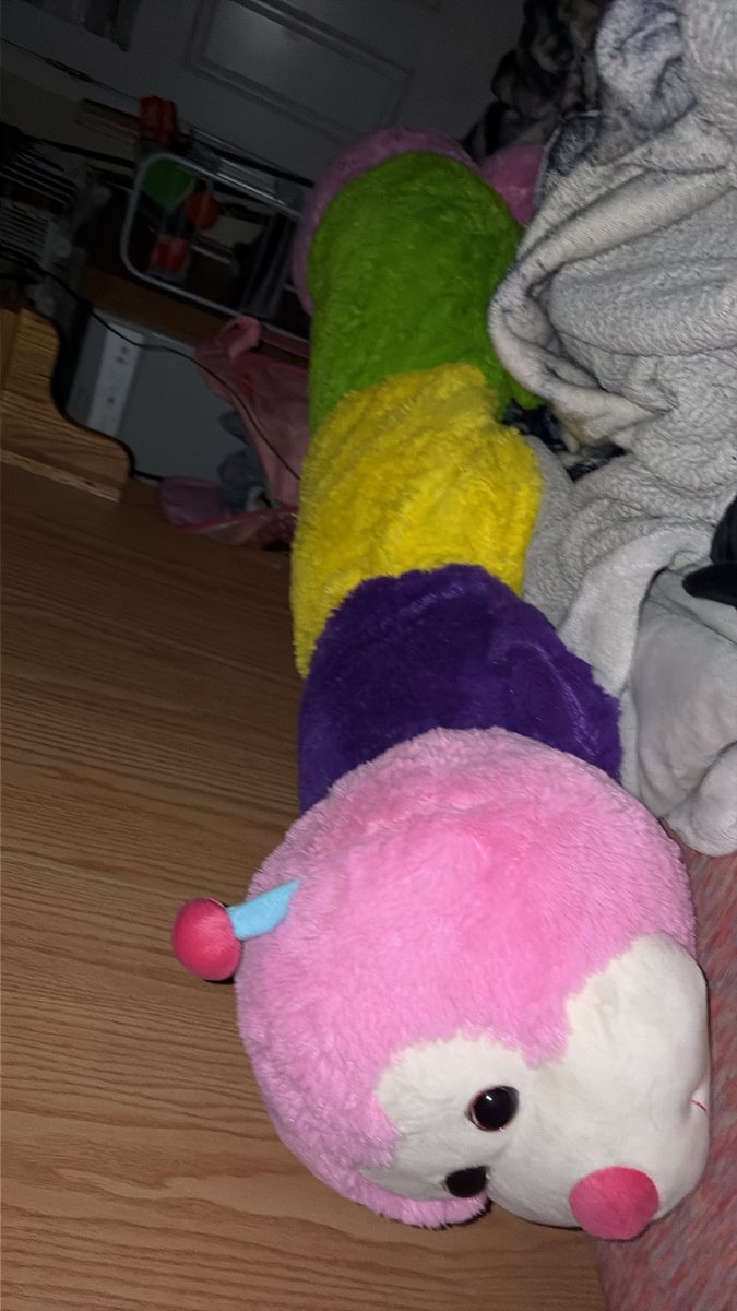 Emmycats12's tweet photo. My mom recently gave me a about 5"5 rainbow caterpillar stuffed animal and it brought small joy into my life https://t.co/1wSsSbDlRG