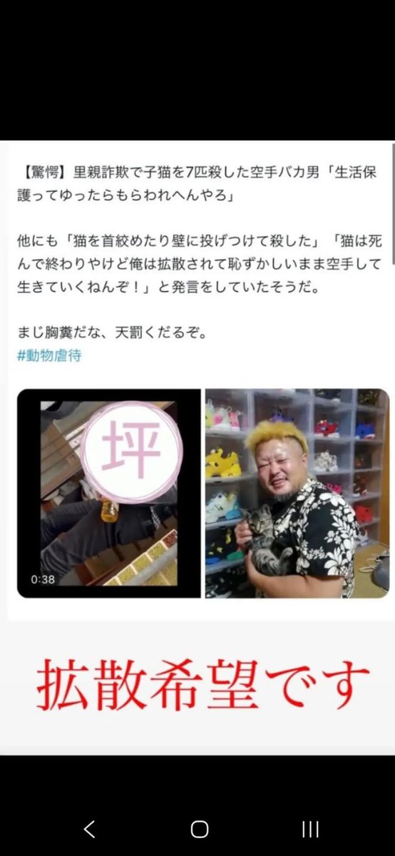 kuufuku184's tweet photo. 【里親詐欺】
こいつに絶対猫を渡さないで🚨
大坪智彦(大阪)　生活保護
#JusticeForWangWang
#Cat abuser https://t.co/cvwyS7NFt2