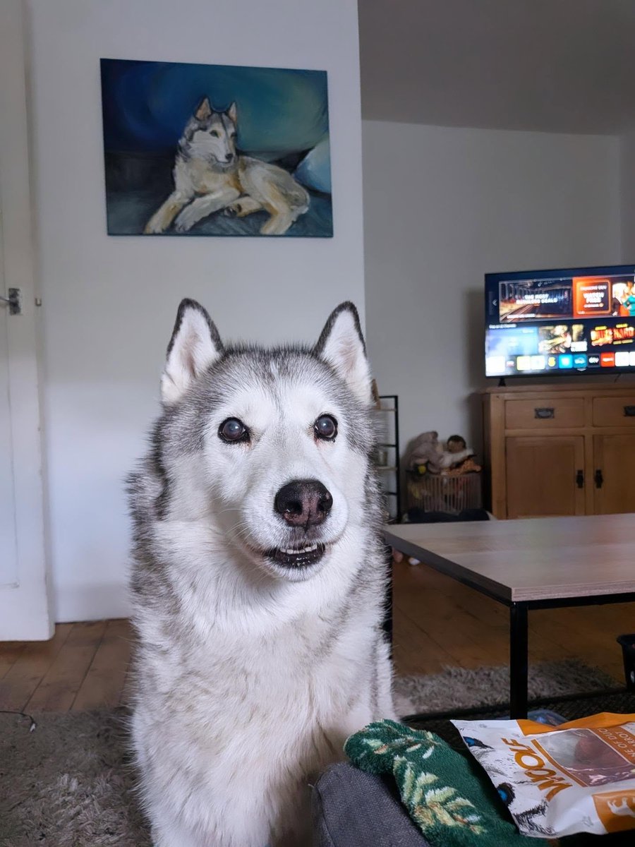 CelenaPartyka's tweet photo. Some of life’s happiest moments are the simplest: a wagging tail, a warm cuddle, and a best friend who makes every day brighter. Nothing compares to being loved so purely. Forever my safe place and greatest comfort. https://t.co/ci2VlslE2z