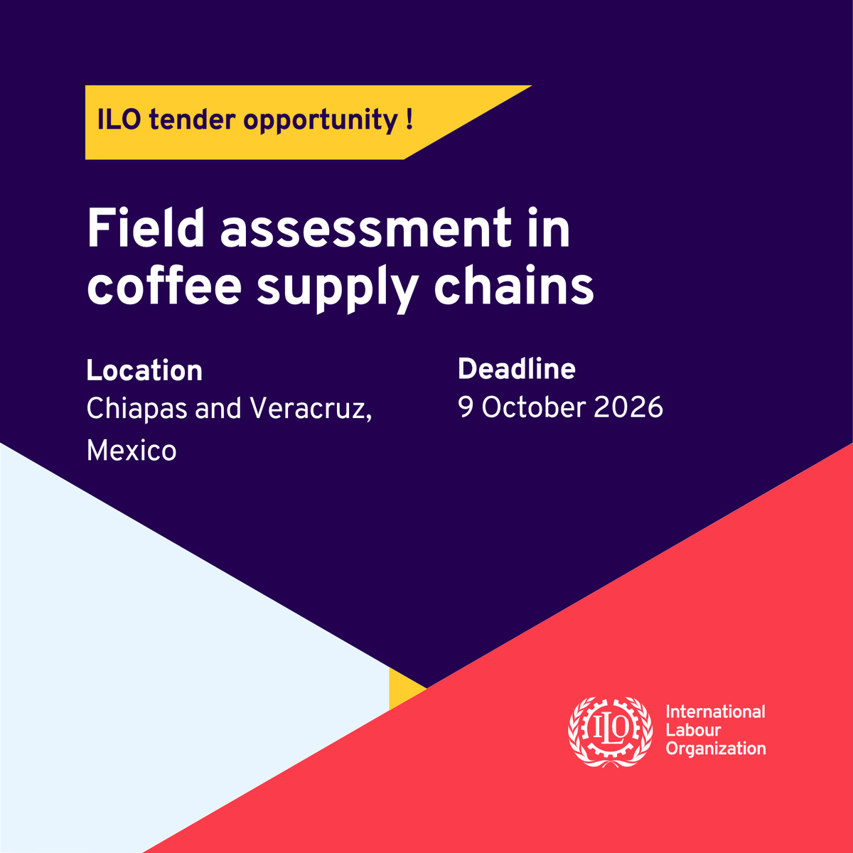 ILO_Childlabour's tweet photo. 📢 ILO tender | Mexico

The ILO invites qualified organizations to submit offers for a field assessment in coffee supply chains in Chiapas and Veracruz (2026–2027 harvest).

🗓️ Deadline: 9 October 2026

More information 👇
https://t.co/jGqehlEGkh https://t.co/L1Z9VWV9Gn