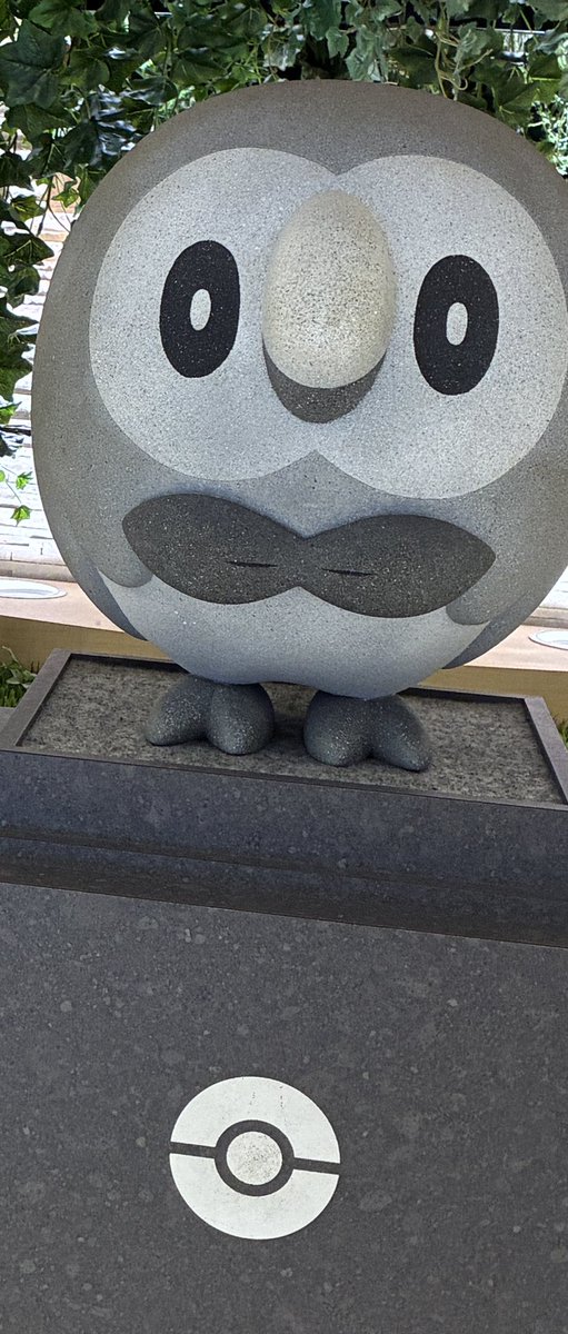 rryce1ramp's tweet photo. 色違いのモクローいた https://t.co/H7ik68UKNI