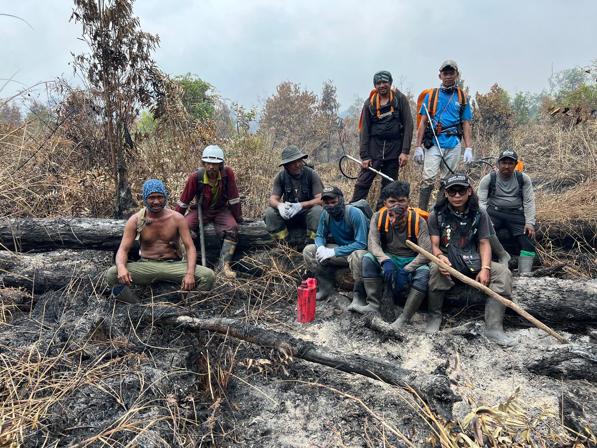 HUTANGroupJAPAN's tweet photo. 森林火災を消すために戦っている仲間を支えてください！！🧑‍🚒💦🔥🌳🐒

【ご支援・シェア歓迎！】森が燃え尽きる前に、火を止めたい。 STOP！森林火災 in インドネシア・ボルネオ島
https://t.co/PraJE6cc9g https://t.co/Qpt1gWkIkm