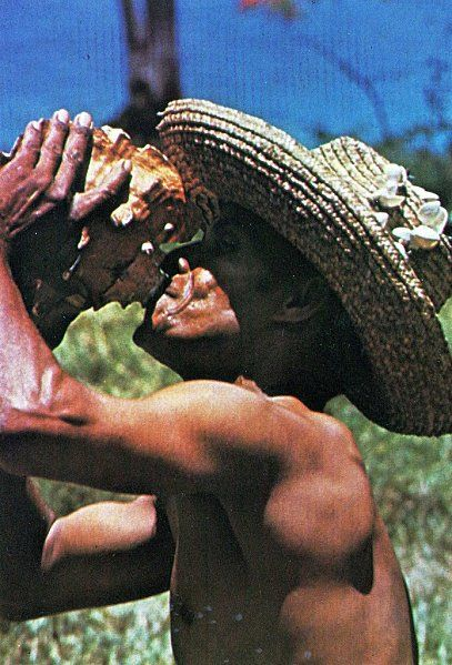 MelaninExtracts's tweet photo. Caribbean | West Indies | Antilles

🏝️☀️

🇯🇲 🇩🇲 🇩🇴 🇬🇵 🇭🇹 🇨🇺 🇵🇷 🇹🇹 🇱🇨 🇰🇳 🇧🇱 🇻🇨 🇬🇩 🇲🇶 🇧🇧 🇦🇬 🇨🇼 🇦🇼 🇹🇨 🇧🇸 https://t.co/5FKpqQCr6h