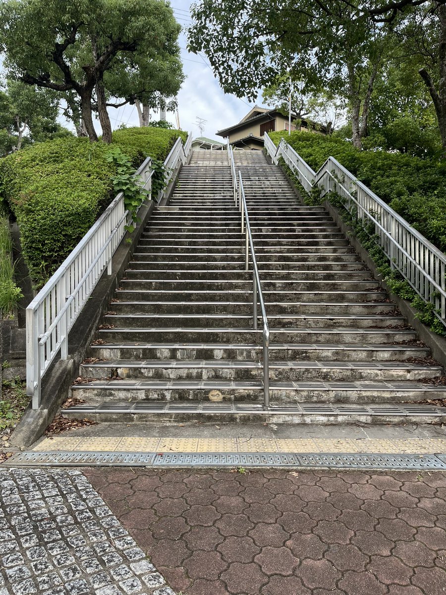 _koromo77's tweet photo. https://t.co/YY3mPkQROM