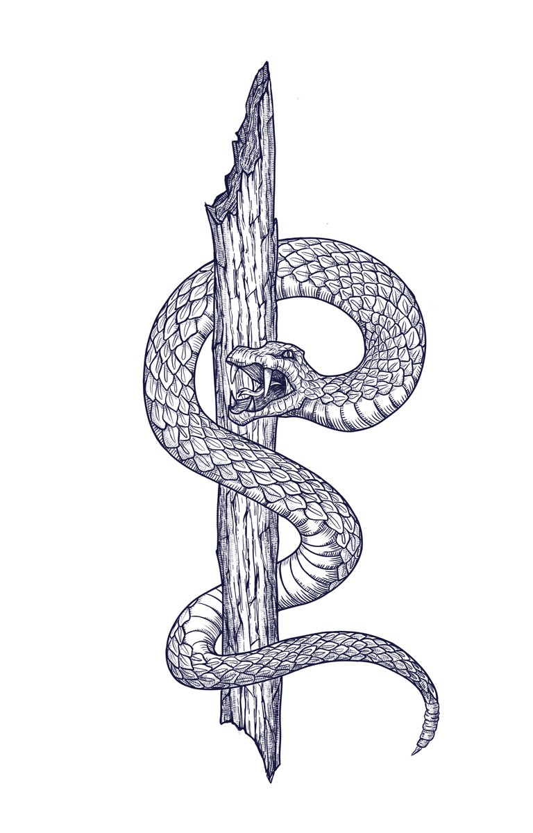 MarLinArtist's tweet photo. Phew, finally finished. I thought it'd be a light evening project, but it ended up taking 4 days and one study...

And I don't even know what to do with it. Probably only good for a tattoo...

#DigitalArt #TattooDesign#SnakeArt https://t.co/Q2Yhg5JV60