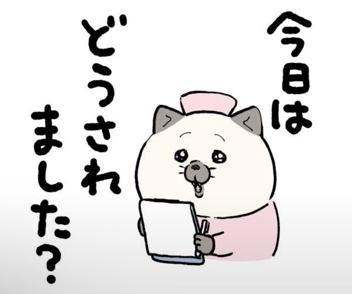 092022u's tweet photo. 秋の健康診断にきたฅ( ˙꒳˙ ฅ) https://t.co/TMMrjlAqYN