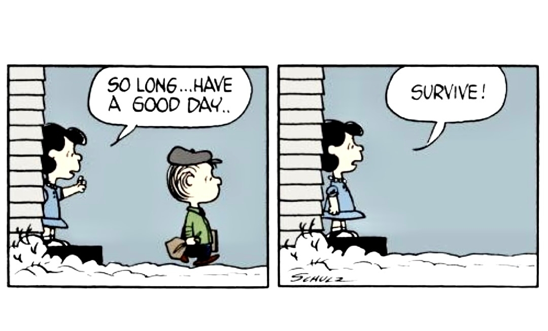 dreamdust777's tweet photo. #stillthursday https://t.co/ARMeD3lnFX