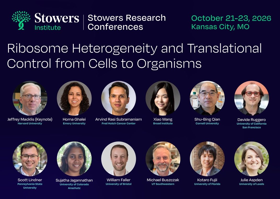 mbarnalab's tweet photo. Last chance to register for the ribosome heterogeneity and translation control meeting! Selected talks from abstracts and an outstanding lineup up of speakers. Please repost and register today!! https://t.co/p9QjNAGSBK