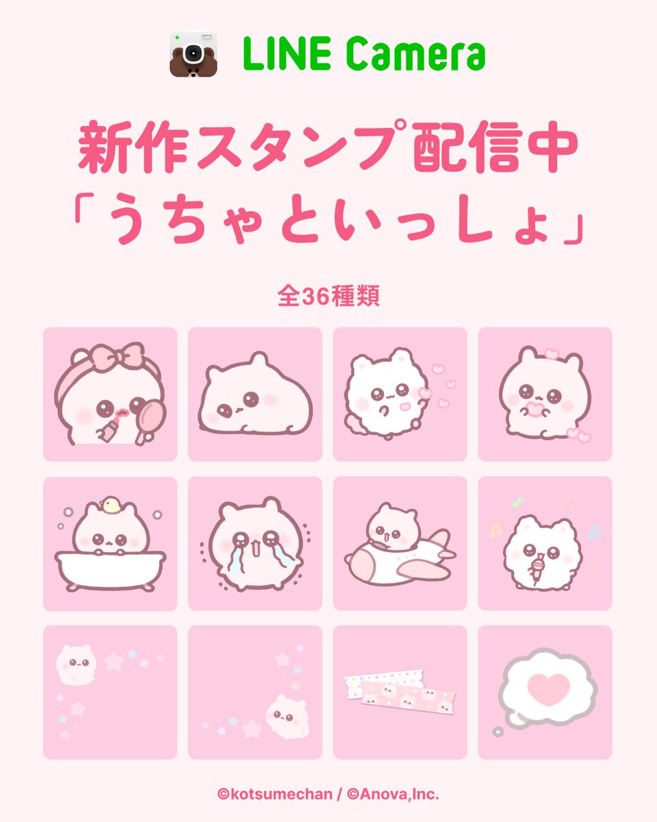 kotsume_cha's tweet photo. 📢お知らせ🎀

LINEcameraにうちゃのスタンプがでたよ〜！
ぺたぺた貼ってあそんでみてね ՞ o̴̶̷  ̫ o̴̶̷ ՞

https://t.co/4554qPycLk https://t.co/ofhyyG1fw9