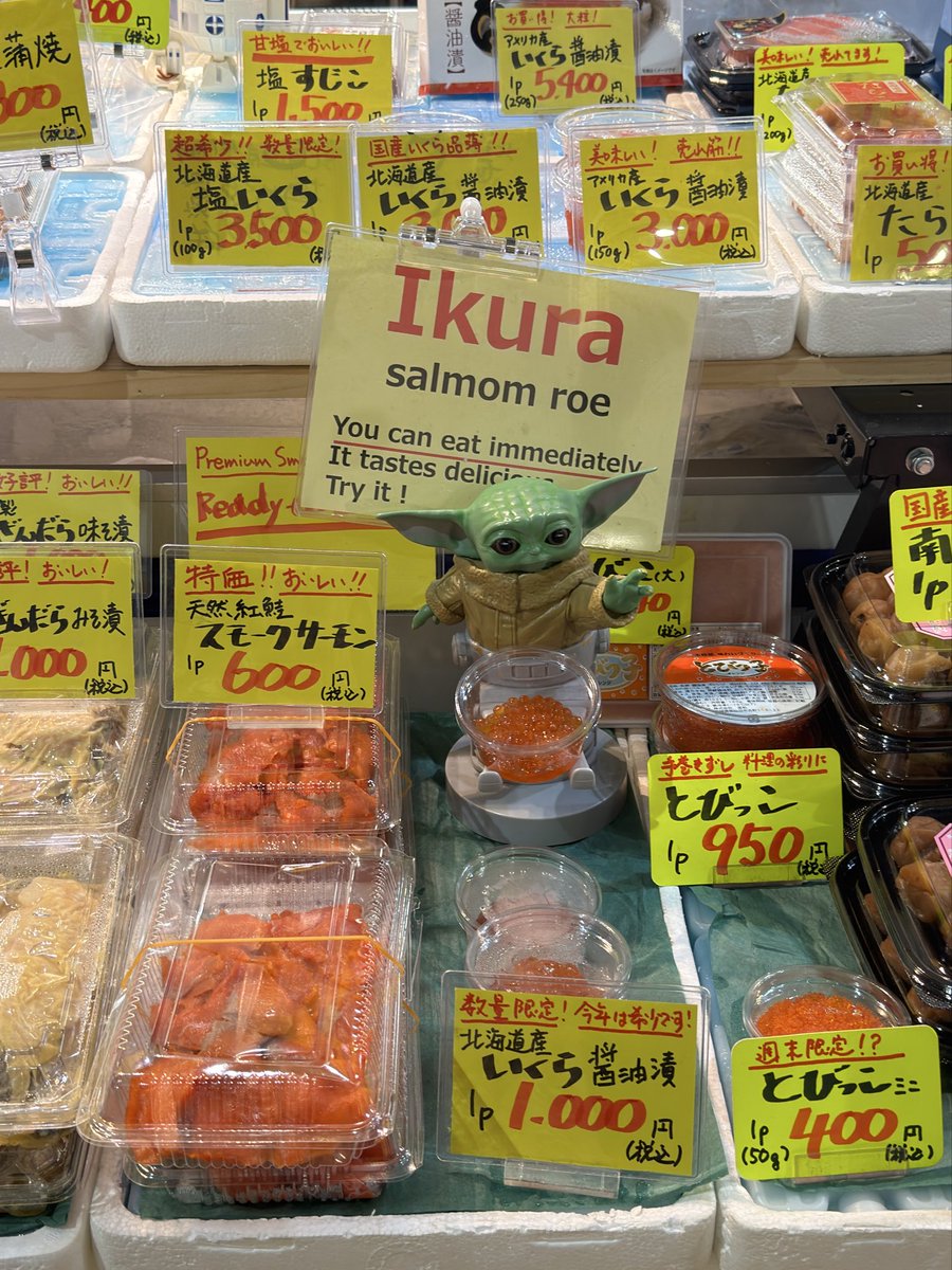 timbuctoo1's tweet photo. この売り場にこれ以上似合う子はいないね

#Grogu https://t.co/iuK0K4PWTz