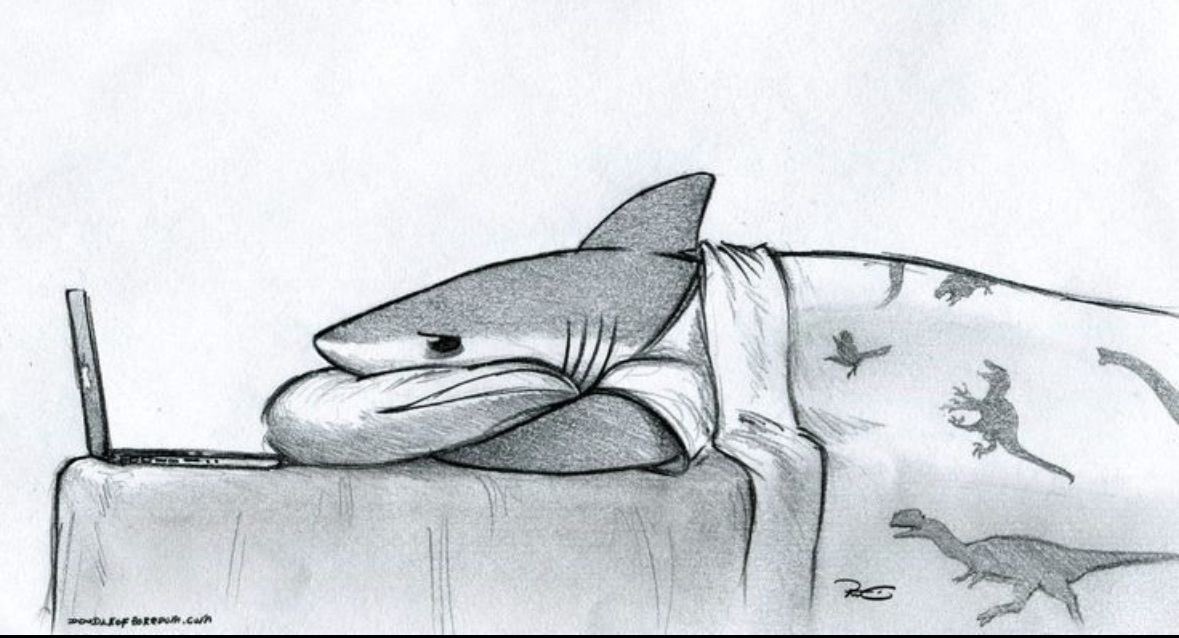 pmamtraveller's tweet photo. "Flu Shark" by artist RobtheDoodler https://t.co/qoCWDZKjYB