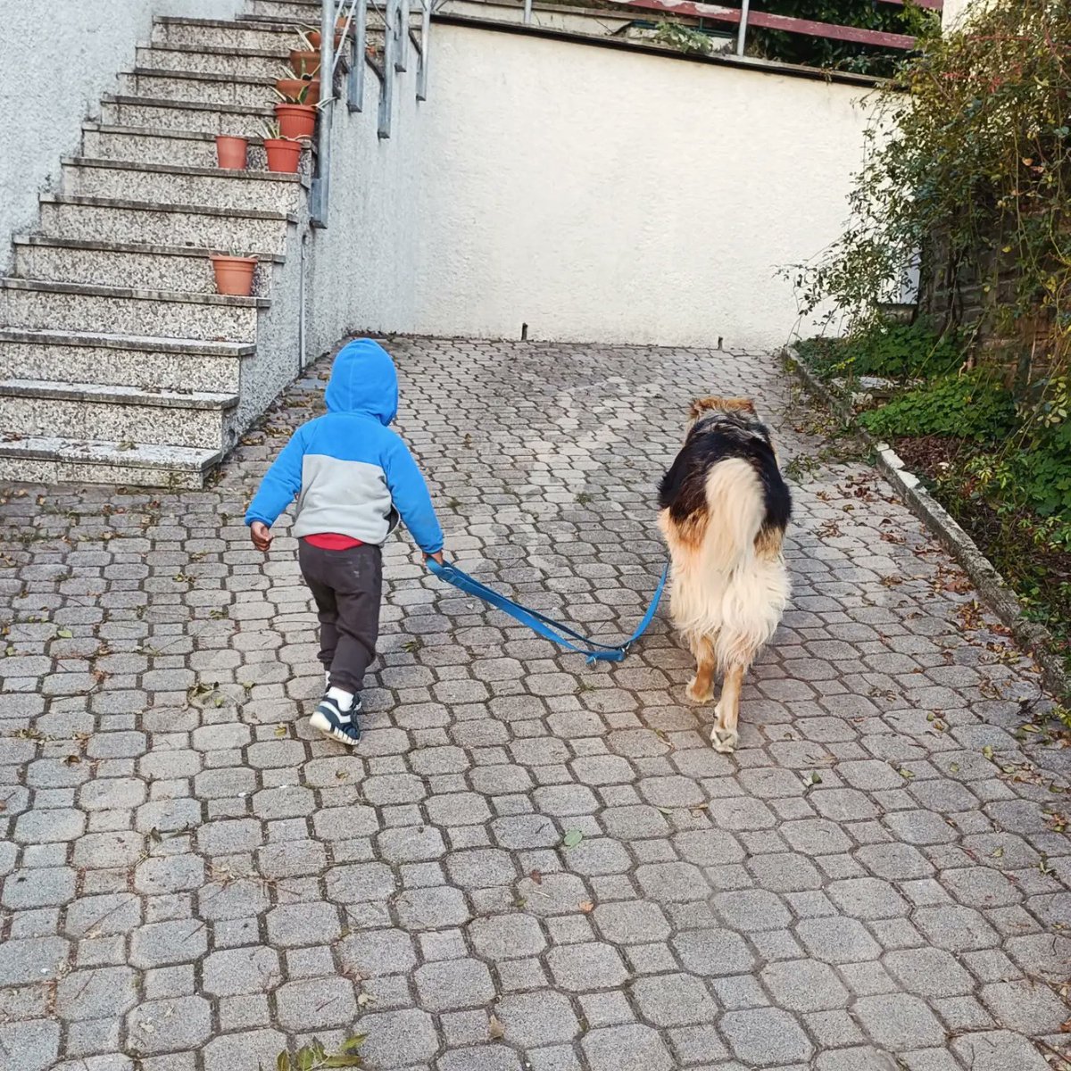 MarkusBrabant's tweet photo. https://t.co/rWsC7xhihq