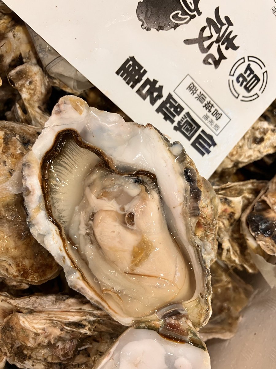 Osashimi0705's tweet photo. 生食用牡蠣2k2000円税
どっさり身入良い濃厚

お得意様遠慮なさらずお気軽に御予約承り致します https://t.co/hDPvkp97fh