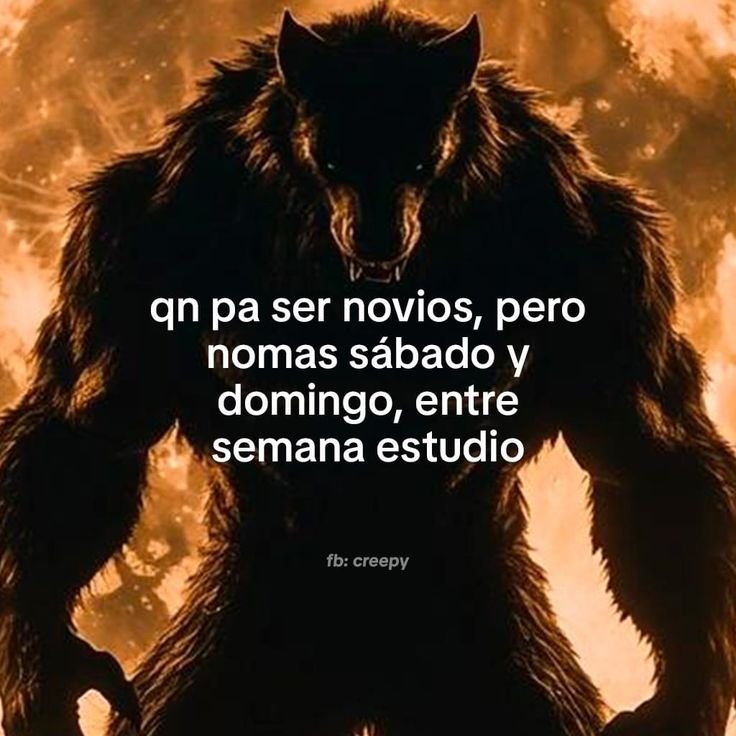 meymuyj's tweet photo. hay límites https://t.co/DCSWnkZw3b