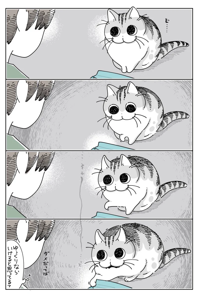 Replies by キュルZ (@kyuryuZ) / X