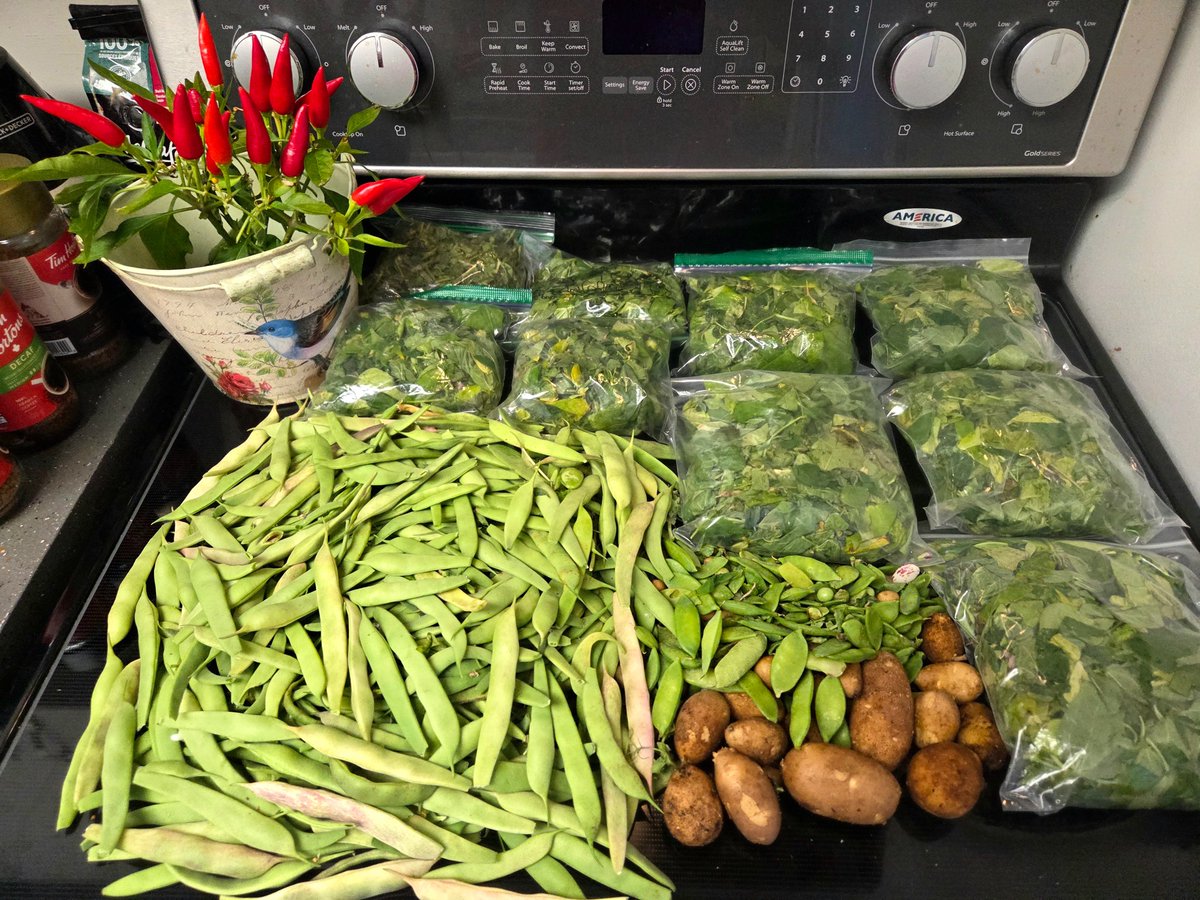 ERGardenerChef's tweet photo. I didn't do much of preparation for tonight's dinner. My husband, @albert_riopel prefers grilled chicken in a conventional oven, with just a sprinkle of pepper.

Main Dish:
Baked Chicken Breast 

Side Dishes: 
Mixed Vegetables 
Basmati Rice 

Ingredients:
- Chicken Breast 
- Pepper 
- Mixed Vegetables 

Instructions:
- Sprinkle chicken breast with pepper. 
- Place the marinated chicken breast in the conventional oven for 30 minutes, at 400 Fahrenheit. 
- Make sure to turn both sides to evenly cook the chicken.
- Once it's fully-cooked, serve it with mixed veggies and steamed rice.

Fun Fact:
The fresh green beans veggies were from gardens at our Point Roberts 🇺🇸 & Lantzville 🇨🇦 properties.