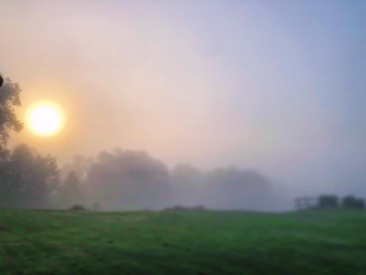 torresjeffrey06's tweet photo. DAWN: A new day arrives with mist and beautiful sunshine over the Ceretan Valley. https://t.co/6ckY5YBuZA