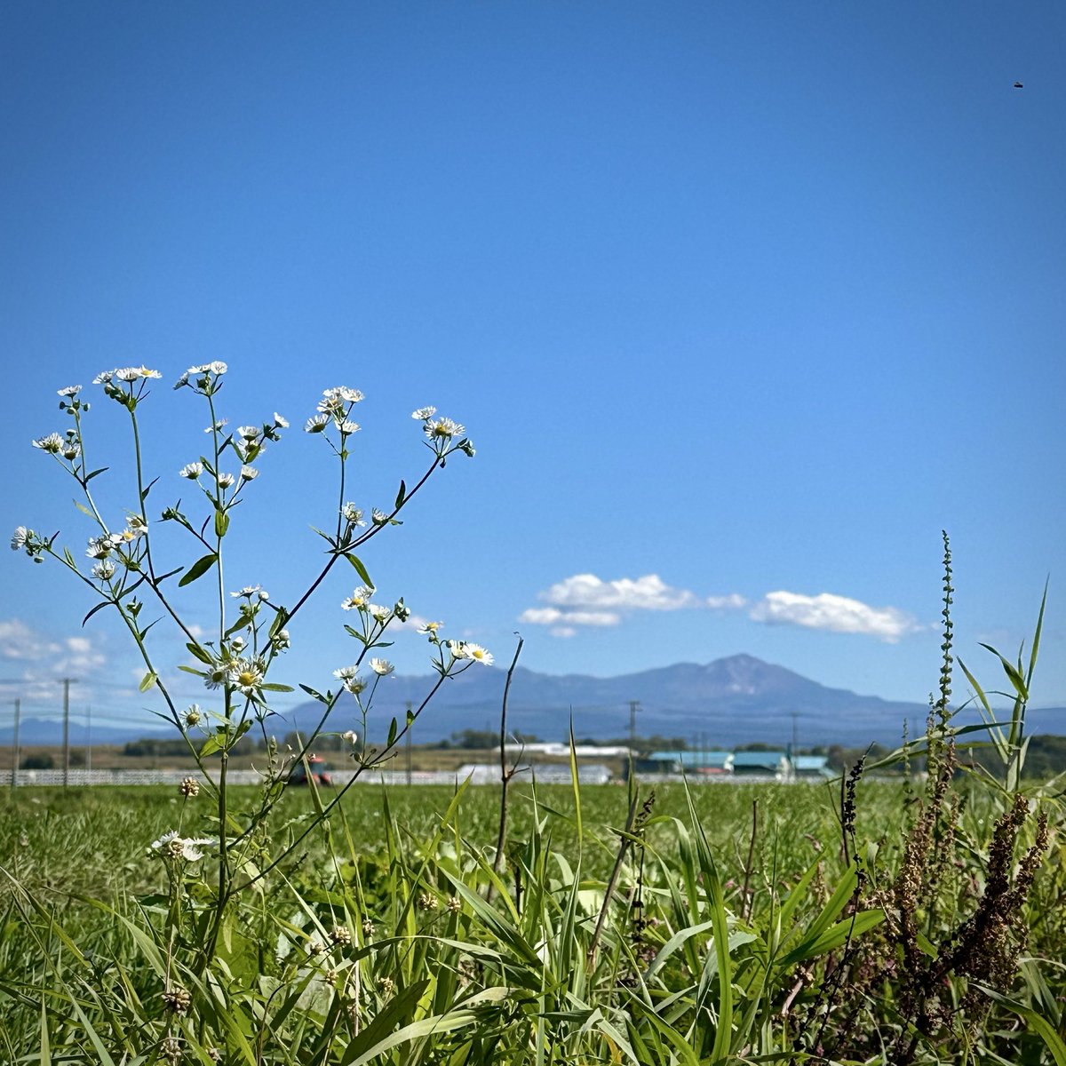 auberf_dnn's tweet photo. いい天気！ https://t.co/qu7RgJsFiS