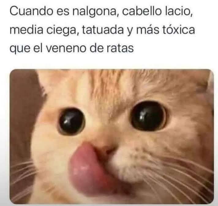 NancySanz18's tweet photo. Sin tatuajes 😁😁 https://t.co/IAhosBWkNW