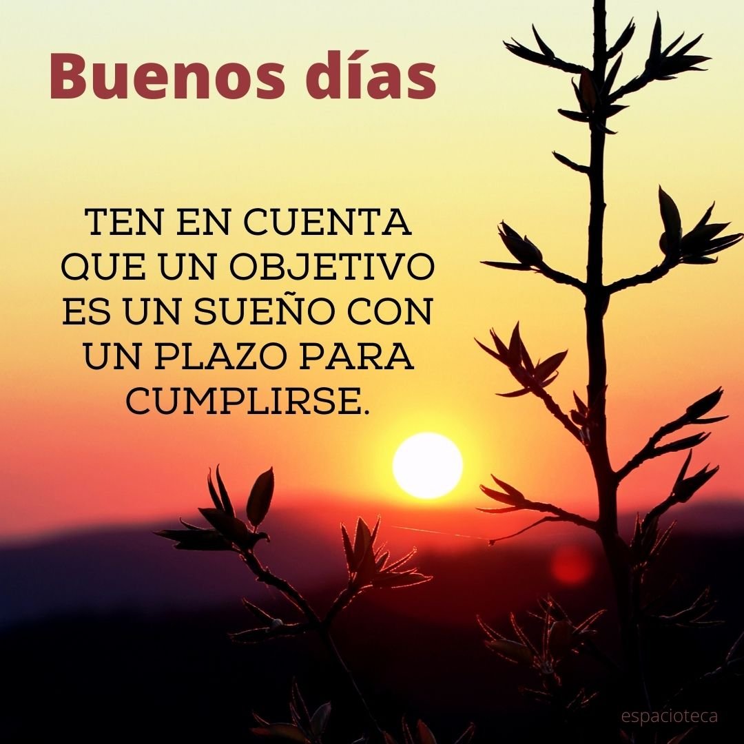FelipeLoSeMa's tweet photo. Buuuueeeenooooss diiiaaasss, vamos a por el viernes con una gran sonrisa y motivación a topeee. Recuerda que hoy será un gran día para conseguir lo que te propongas 💪☕😊 #disfruta #atopeee #energíapositiva #motivacion #sefeliz #BuenosDiasATodos https://t.co/Tv9d9y6Ess