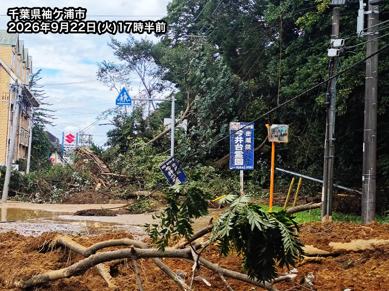 wni_jp's tweet photo. 【台風25号の大雨　約42.9億円の直接経済影響か】
台風25号による大雨で、千葉県や神奈川県では浸水や土砂災害、交通障害などが発生。ウェザーニューズの速報推計では、住宅や家財などの直接経済影響は両県合わせて約42.9億円、移動時間の損失は約13.9億円と推計しました。
https://t.co/2GraH0LEQV https://t.co/P0L1yhwhTg