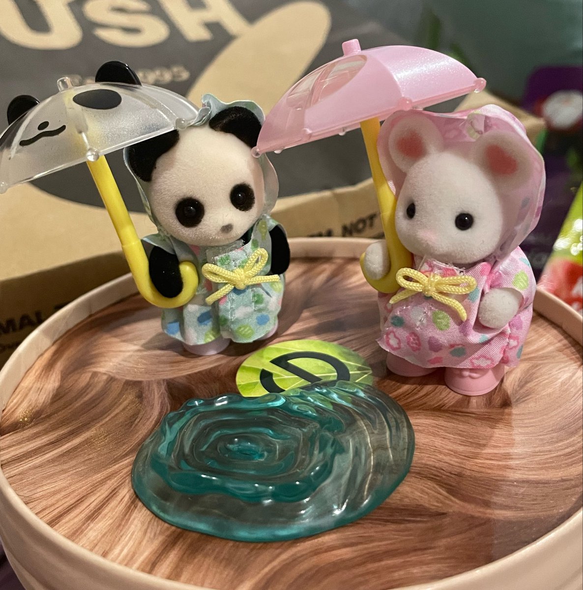 broccolifoxes's tweet photo. my new little friends https://t.co/b1iVC5pOj0
