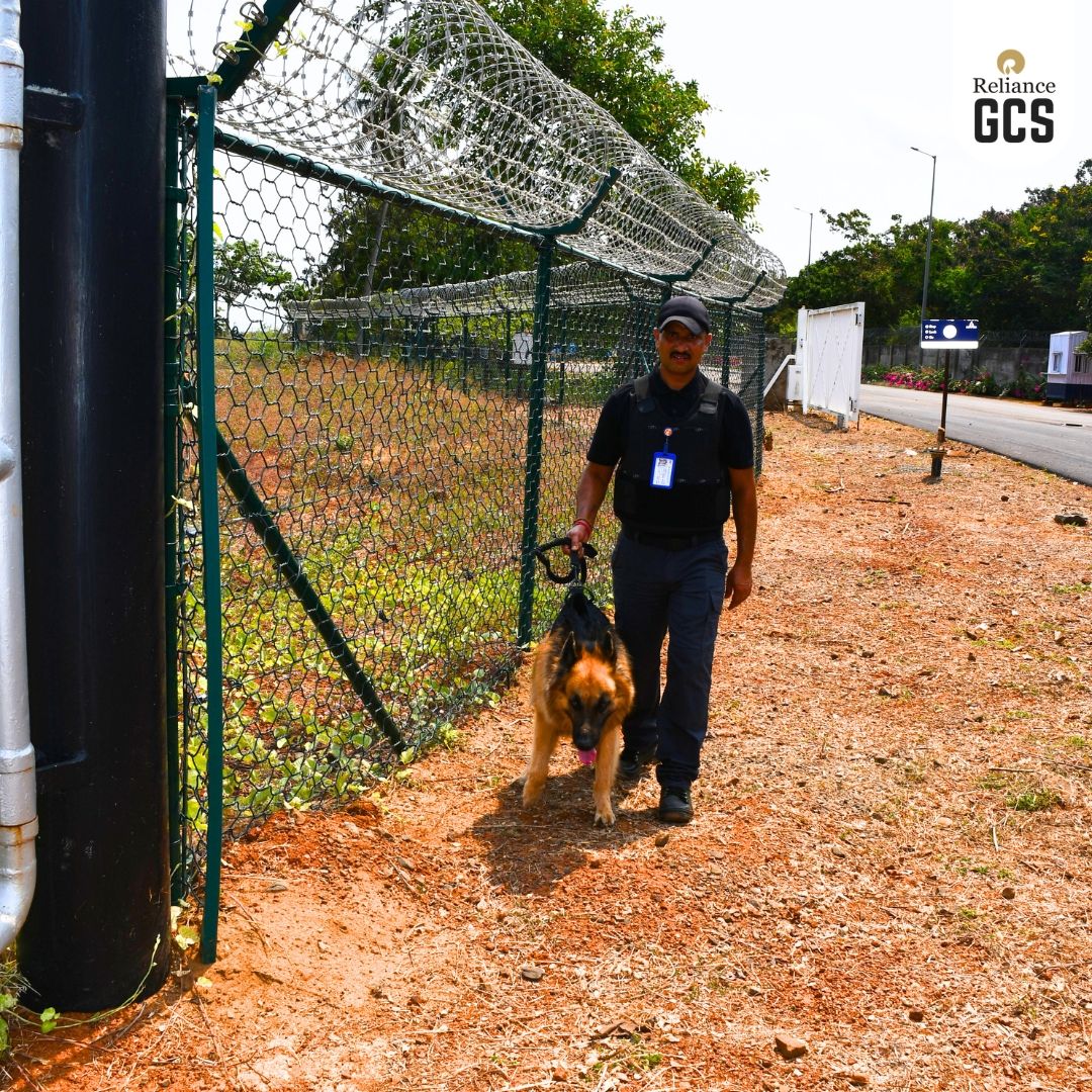 RelianceGCS's tweet photo. Unseen. Unheard. Unnoticed.

But our Security is Unstoppable.

From industrial corridors to offices, Team #RelianceGCS maintains constant alertness to ensure every Reliance asset remains protected around the clock.

Team #RelianceGCS
Pushing limits,
Redefining boundaries. https://t.co/IFz8v58UPt