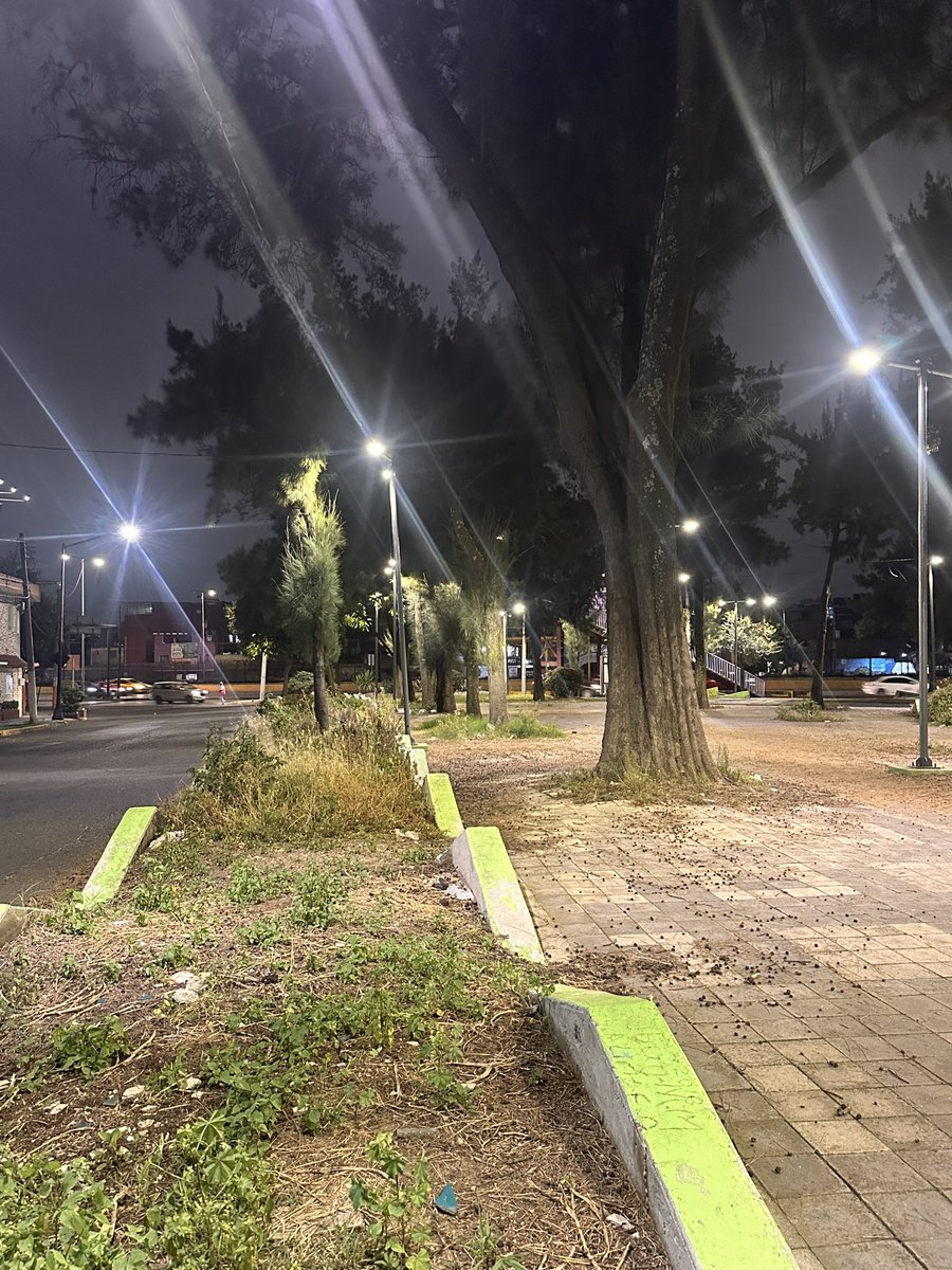 el_rrz's tweet photo. @TuAlcaldiaGAM @yancolozano Deberían realizar cambios en la seguridad y vigilancia sobre circuito en el puente peatonal que conecta la colonia Gertrudis y San Juan 2da. Tiran basura por toda esa área, además el día 24 de septiembre abandonaron los restos de un perro, es un riesgo sanitario y https://t.co/ABFRJD60Kx