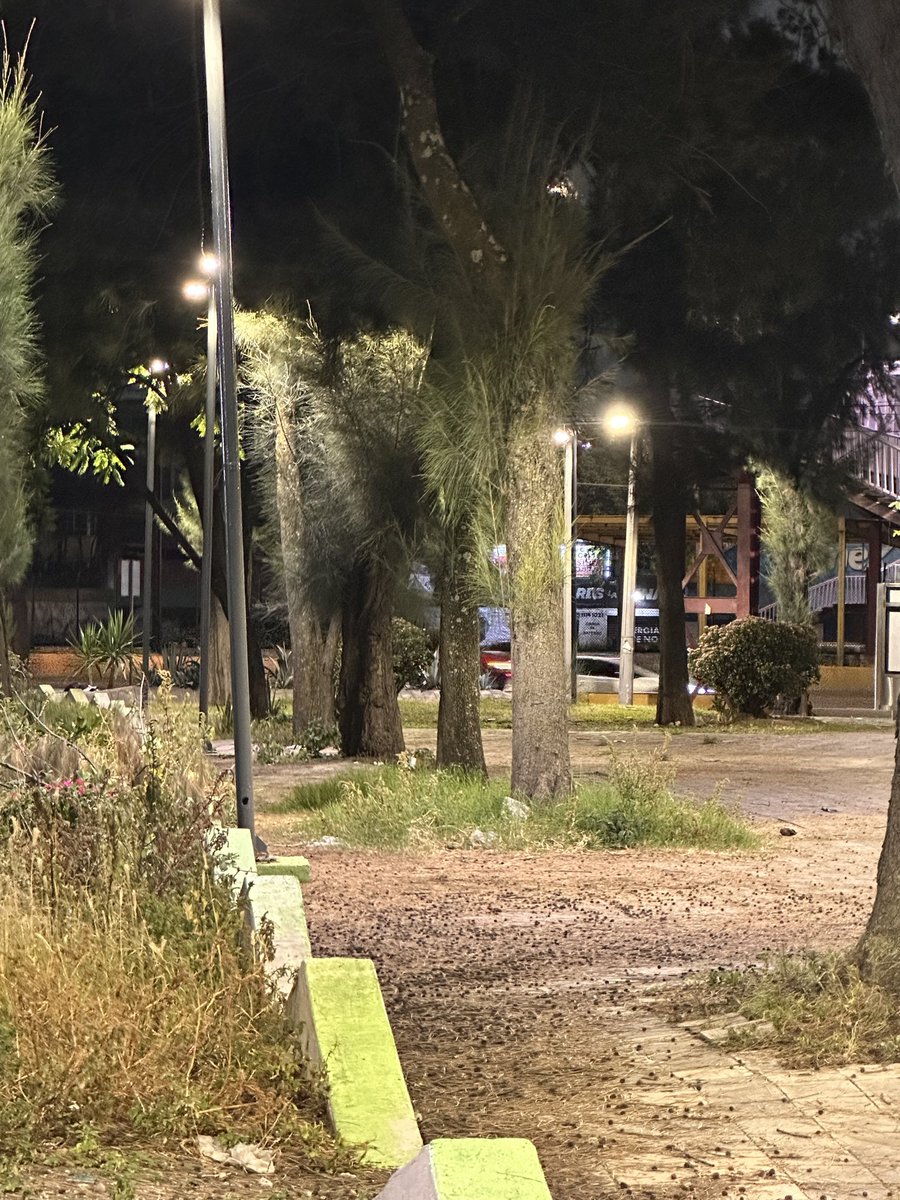 el_rrz's tweet photo. @TuAlcaldiaGAM @yancolozano Deberían realizar cambios en la seguridad y vigilancia sobre circuito en el puente peatonal que conecta la colonia Gertrudis y San Juan 2da. Tiran basura por toda esa área, además el día 24 de septiembre abandonaron los restos de un perro, es un riesgo sanitario y https://t.co/ABFRJD60Kx