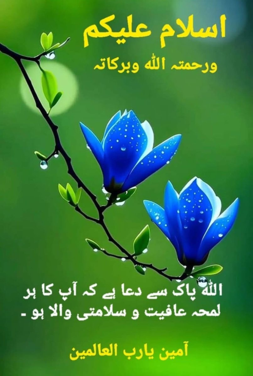 Subhakasitara_'s tweet photo. #داستان_دل
جب جمعہ کا دن آتا ہـے تو فرشتـے مسجد کـے دروازوں پر بیٹھ جاتـے ہیں جو شخص سب سـے پہلـے مسجد آتا ہـے فرشتـے اُس کا نام پہلـے لکھتـے ہیں ��ھر سب کے نام بھی اُسـی ترتیب سـے لکھتـے جاتـے ہیں پھر جب امام خطبہ دینـے کـے لیئـے بیٹھتا ہـے تو فرشتـے اپنـے رجسٹر بند کر دیتـے ہیں* https://t.co/GjfKE5Ppeh