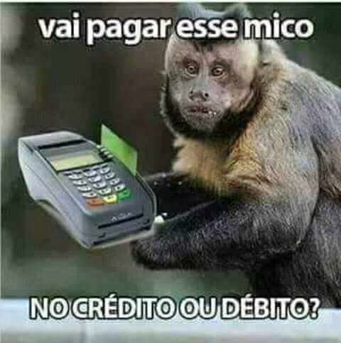 mfmMimi's tweet photo. @RosaneBonoro Vai pagar mico o resto da vida. https://t.co/74ZJhPbEgv