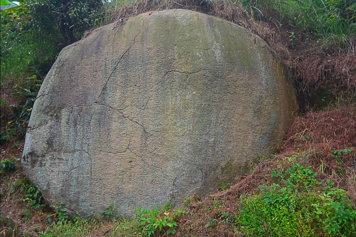 syhan1979's tweet photo. The little pig built its nest with a big ridge on the mountain, and it is a round ridge墩 that just fits, with a sieve to screen out the extra soil inside. https://t.co/LXzjPxegEr