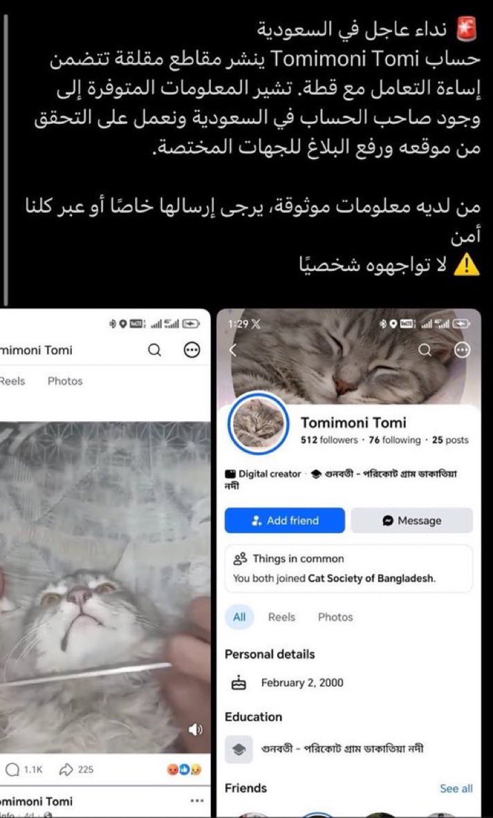 wannamyhome's tweet photo. القط يتعرض لتعذيب وحشي مستمر واصيب بالشلل بسببه، بث هذا المجرم في قلبه الفزع وأفقده الأمان في دولة الرحمه نطالب الجهات المختصة والأمن البيئي بتدخل عاجل ومحاسبة هذا المجرم او سيتم احالة الحاله كشكوى عليكم بالديوان الملكي 
#بنقالي_يعذب_القطط_في_السعوديه 
@MEWA_KSA 
@MOISaudiArabia https://t.co/3Yogx6sYid