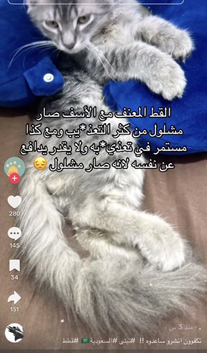 wannamyhome's tweet photo. القط يتعرض لتعذيب وحشي مستمر واصيب بالشلل بسببه، بث هذا المجرم في قلبه الفزع وأفقده الأمان في دولة الرحمه نطالب الجهات المختصة والأمن البيئي بتدخل عاجل ومحاسبة هذا المجرم او سيتم احالة الحاله كشكوى عليكم بالديوان الملكي 
#بنقالي_يعذب_القطط_في_السعوديه 
@MEWA_KSA 
@MOISaudiArabia https://t.co/3Yogx6sYid
