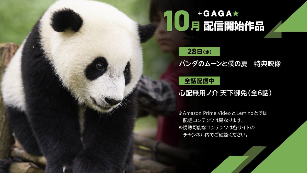 plusgagajp's tweet photo. ◢◤10月配信作品◢◤
#AmazonPrimeVideo と #Lemino の
#プラスGAGA★で配信開始！

🐼10月のオススメ🐼

なんと本物のパンダで撮影された
『#パンダのムーンと僕の夏』
本編よ��一足先に特典映像を公開します💭

🟩まずは7日間無料体験🟩https://t.co/UeXI1b9qpg https://t.co/TmsZXQ5W0O