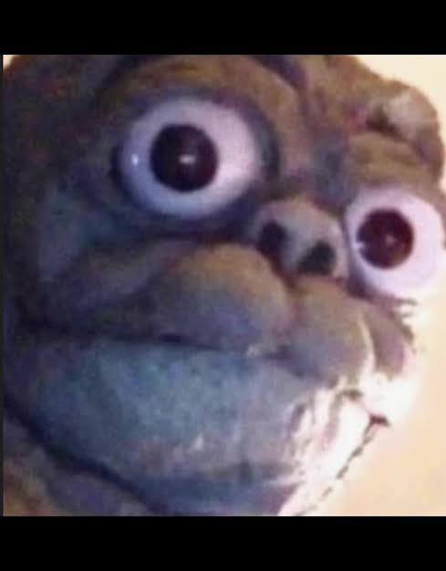 MinillaOnSol's tweet photo. Minilla has arrived https://t.co/JLKhK2SVLr