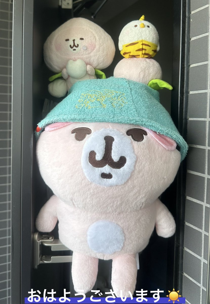 lovepisuke's tweet photo. 昨日、今日と仕事( • 8 • )/
キビィ🍑ぴーことﾃﾞｶｽﾝちゃんが見送りしてくれました。
（夫は残りの夏季休暇消化中）

ゆるっとパートしてきます。 https://t.co/FTG3pnqrnz