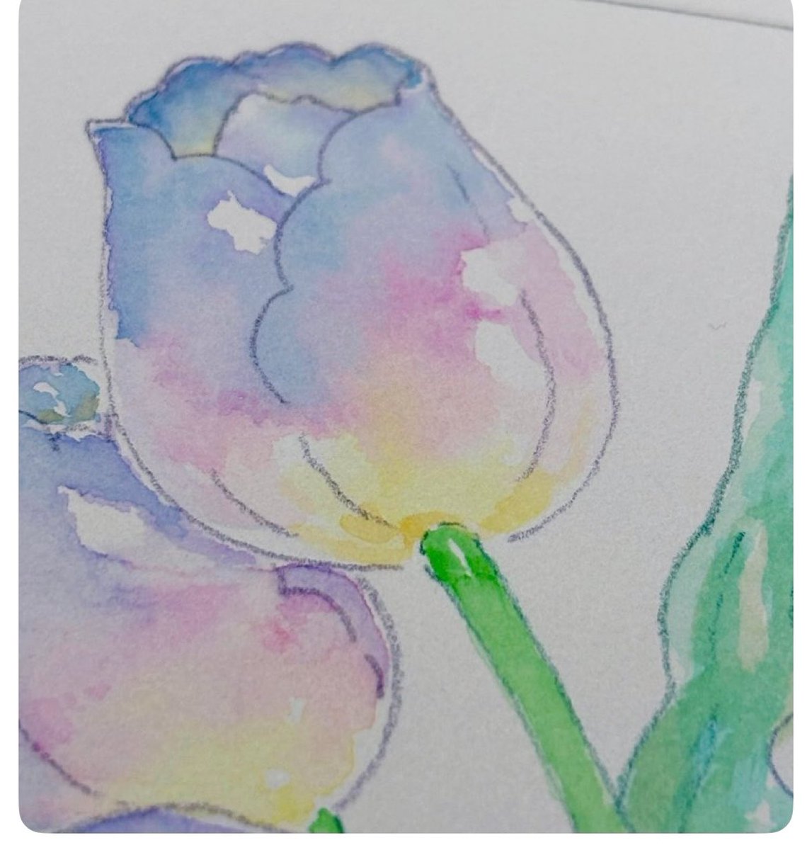 Lalka_Lilka's tweet photo. #全クリエイターに告ぐ花の作品を解放せよ 

まかせてくださいよーー🌷
お花ならいっぱいある……はず！！ https://t.co/Zjqt88RFzq