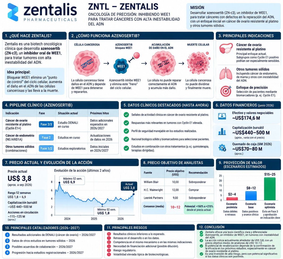 R0d4z's tweet photo. $ZNTL — Zentalis
Zentalis intenta demostrar que bloquear WEE1 puede convertirse en una nueva estrategia eficaz contra determinados cánceres difíciles de tratar. https://t.co/2hmzZj7WH7