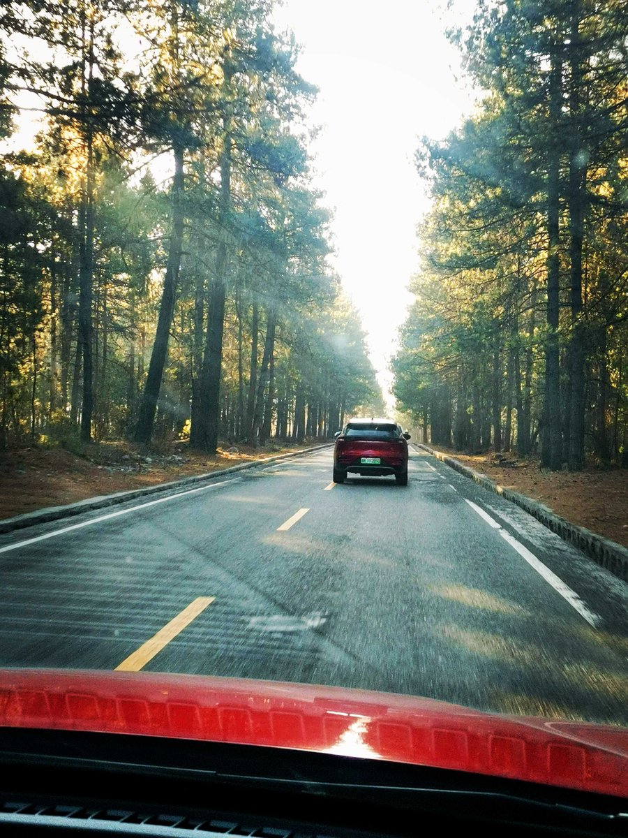 MadeKiki4's tweet photo. Just sharing the serene moment on the open road, feeling the cool breeze ripple through the car windows while the scenery rolls by smoothly. https://t.co/0PWomv8yDB