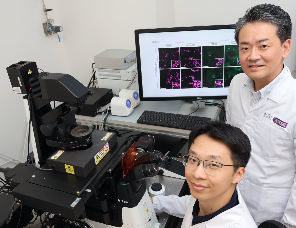 NTU_LKCMedicine's tweet photo. New research led by #LKCMedicine Assoc Prof Yasunori Saheki reveals how cholesterol protects cells' recycling centers during mitophagy and converts leftover fats into energy. Could offer new insights into neurodegenerative diseases! 🧬👇
https://t.co/gQILSZ0S7w https://t.co/1WcV1eqzfi