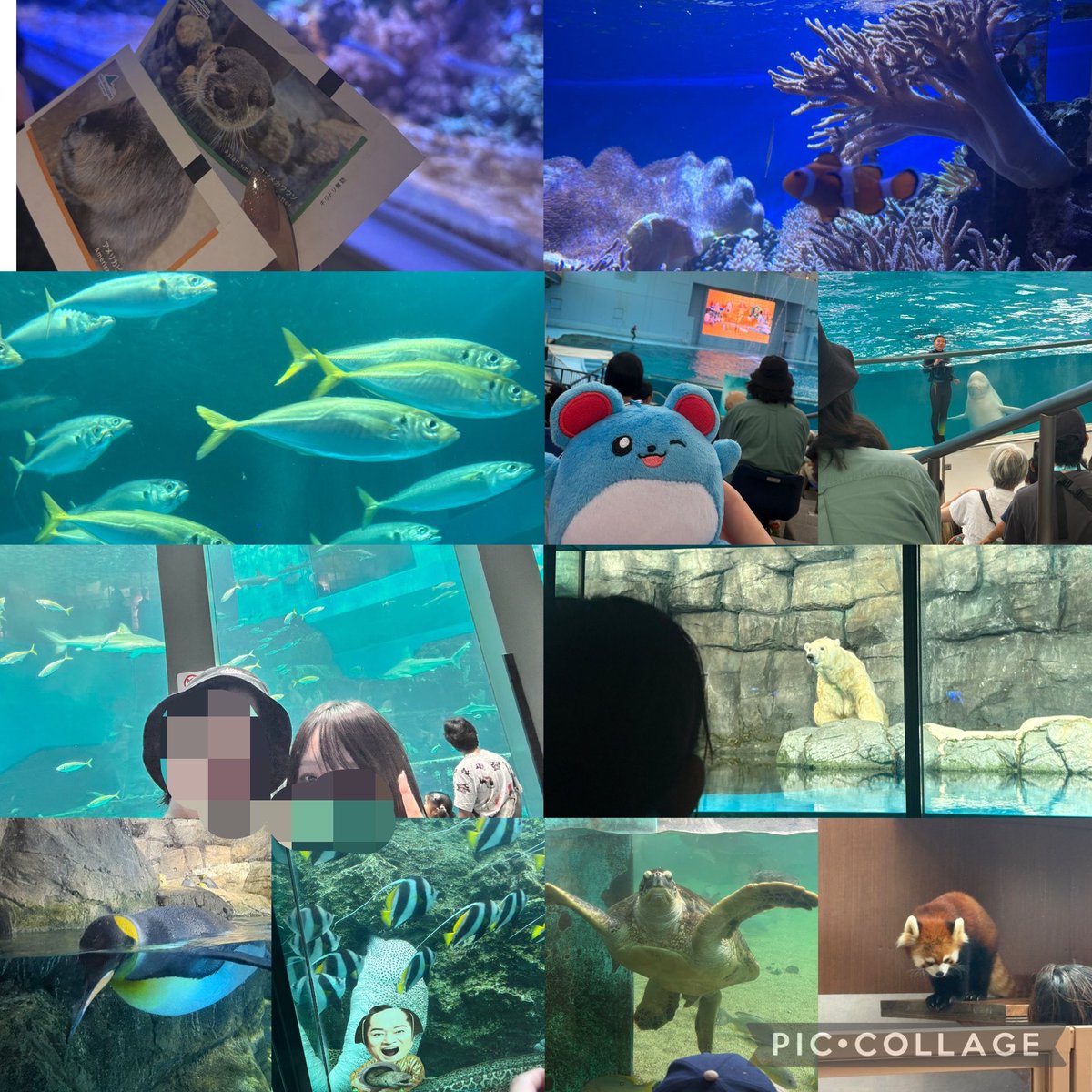 _geki_atsu's tweet photo. 🐟 https://t.co/TmHn01eSiV