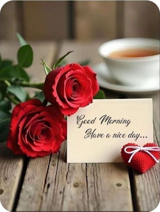 SubhaniJrz's tweet photo. Good morning https://t.co/S48SlPti0p
