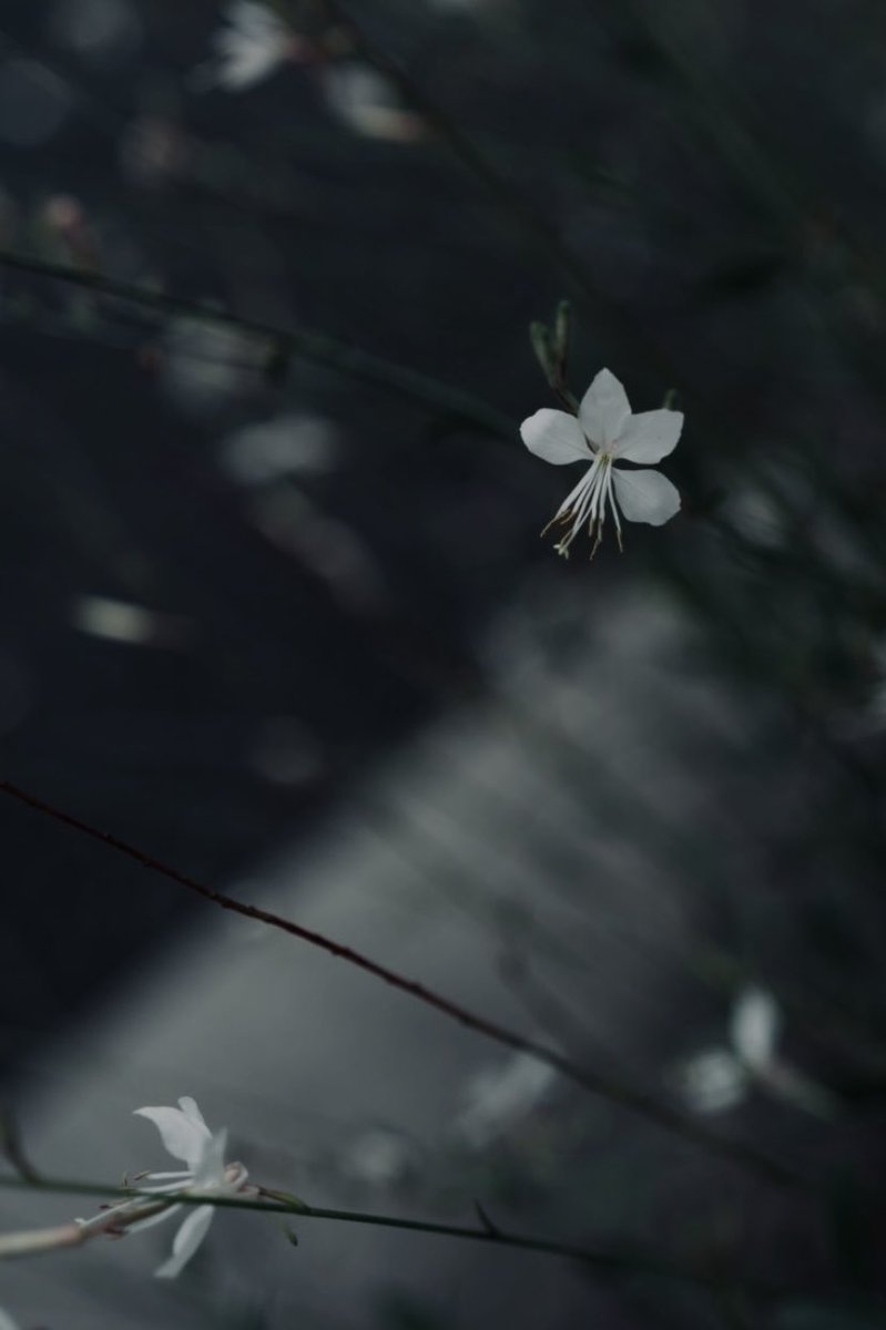 Rei0AM tweet picture