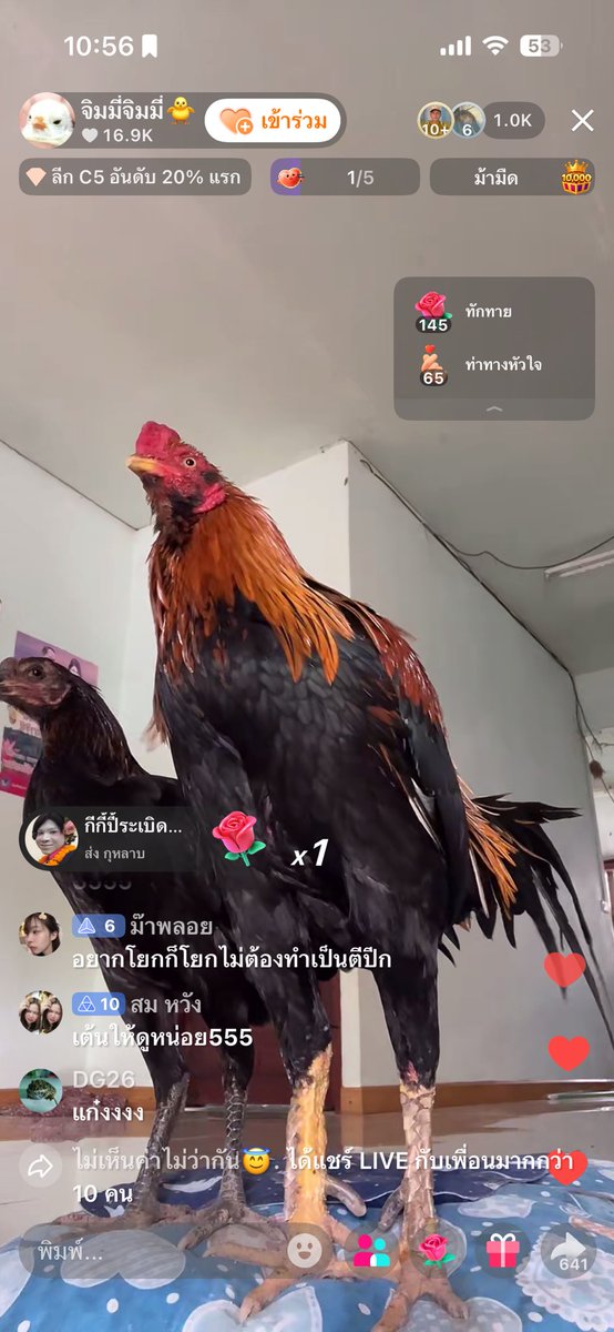 sea1785ps's tweet photo. เสน่ห์แรงอีหลีเด้อจิมมี่ https://t.co/zjmjyxO9Mq