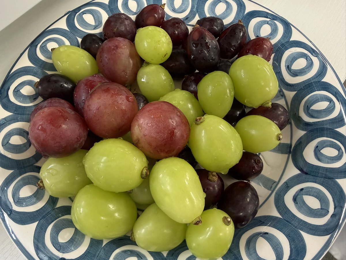 sakkiy127's tweet photo. 今日もいろんな種類食べました🍇🍇🍇映え🍇🍇🍇🍇 https://t.co/bfeqYJwEu9