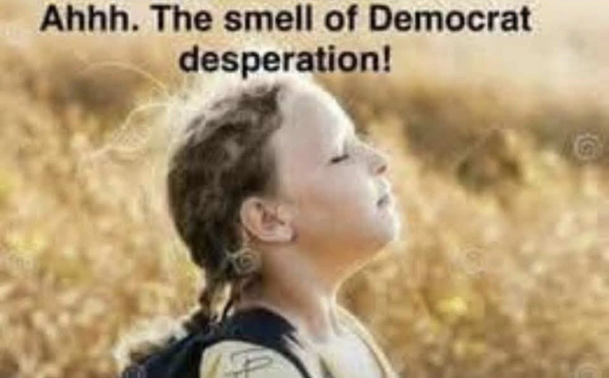 ekmudrtrebor's tweet photo. @LePapillonBlu2 Working out great.  Keep crying little 🐕.  Thanks. https://t.co/UWJiizF56B