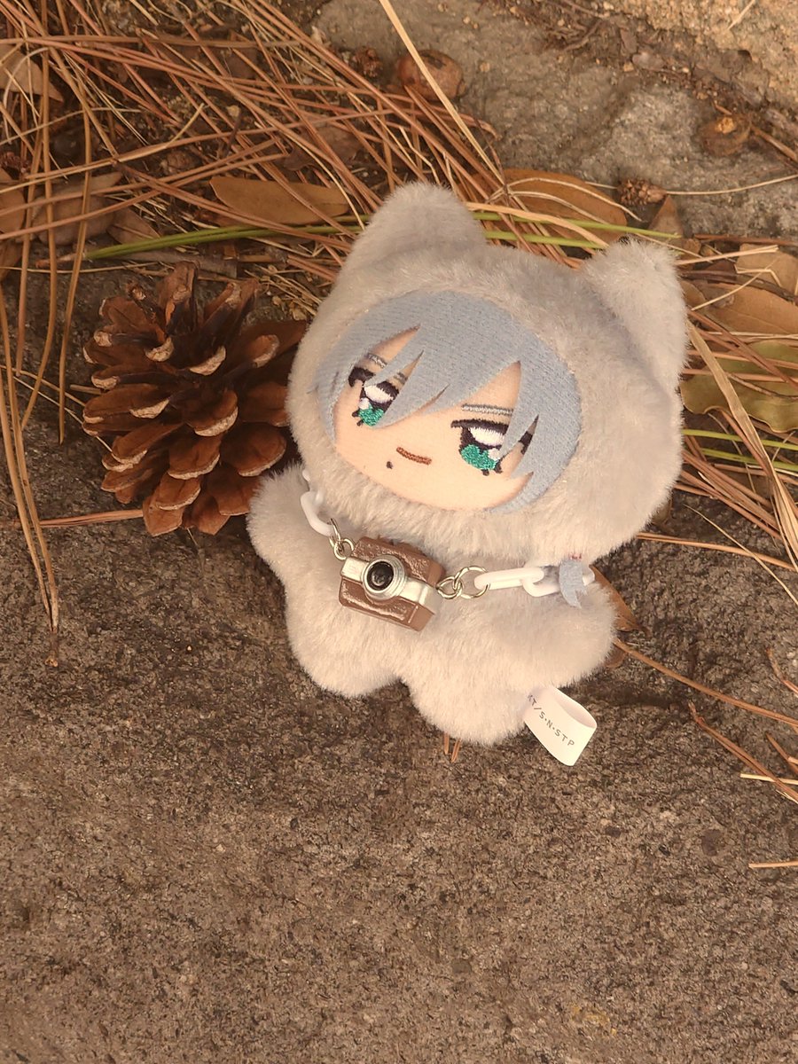 mikami041731's tweet photo. ちみけもまっさはるとお散歩してきたナリ🍂☺️ https://t.co/cxVFnp2Per